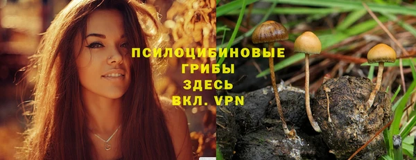 мет Баксан