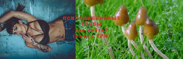 мет Баксан